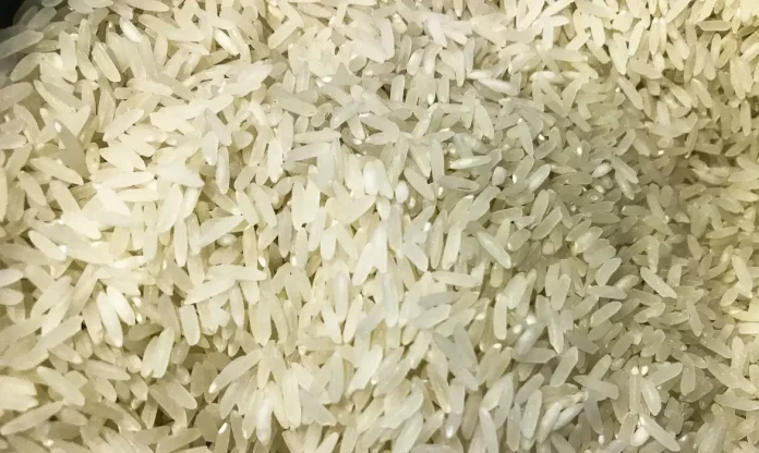 arroz