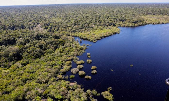 Amazônia. Foto: Agência Brasil